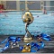 Спортивный кубок по водному поло 2017 и 2018 (ручная работа) - мастера Златоуста