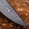  Авторский танто Кленовый сад № 39204 - мастера Златоуста