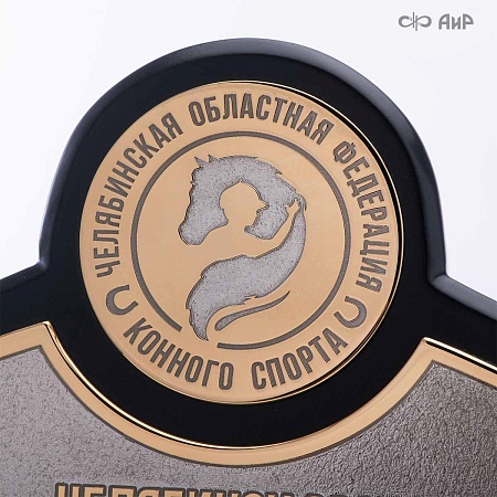 Кубок губернатора Челябинской области по конкуру, 2025, № 39088 - мастера Златоуста