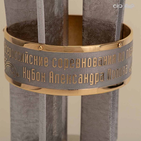 Переходящий большой Кубок Александра Попова (Всероссийские соревнования по плаванию 21-23 мая 2025 Челябинск) № 39078 - мастера Златоуста