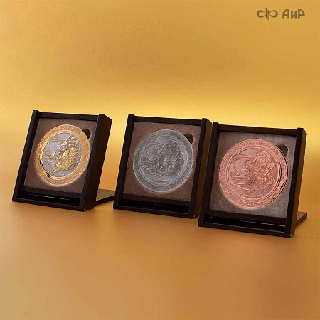 Медали победителей и призеров Медали Буран-День (2026) - мастера Златоуста