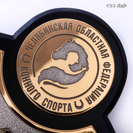 Кубок губернатора Челябинской области по конкуру, 2025, № 39088 - мастера Златоуста
