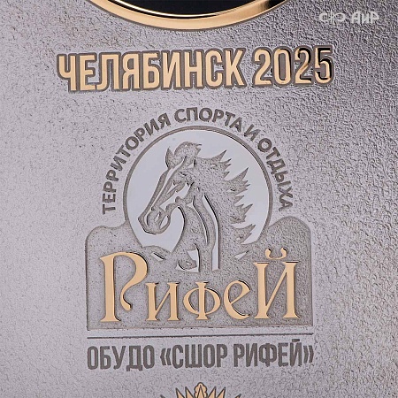 Кубок губернатора Челябинской области по конкуру, 2025, № 39088 - мастера Златоуста