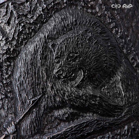  Авторский охотничий кинжал Русский лес № 39185 - мастера Златоуста